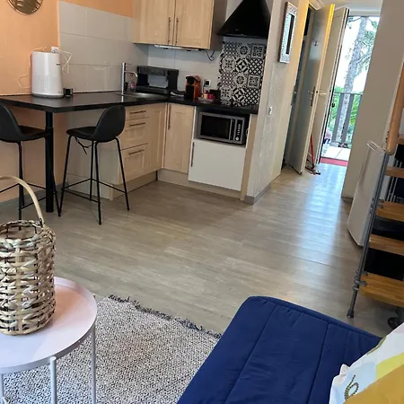 5 Personnes Piscine Pinede Et Apartmán *